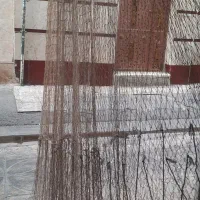 طوره ماهیگیری