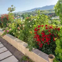اجاره باغ خانزنیان