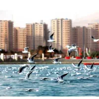 117متر  اجاره ای