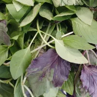 خرد کردن انواع سبزیجات سبزی خرد کنی خورشت و آش...