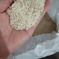 برنج درجه یک کاظمی