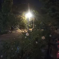 اجاره باغ