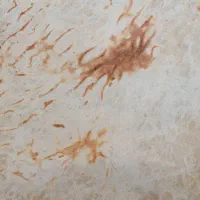 نان محلی و رشته|خوردنی و آشامیدنی|چغادک, |دیوار