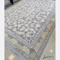 فرش هخامنش دهقاید روبروی بسیج|فرش|برازجان, |دیوار