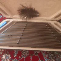 سنتور درجه یک