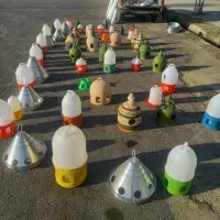 لوازم پرنده ملایر،