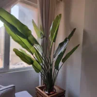 درختچه مصنوعی نو