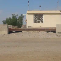 متصدی باسکول