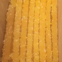 استخدام نیروی خانم جهت کار در تولیدی نبات شاخه