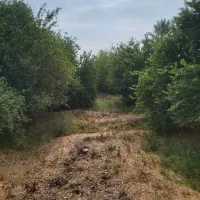 زمین-باغ-شهری