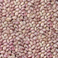 لوبیا چیتی درجه یک