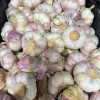 سیر همدان|خوردنی و آشامیدنی|شیراز, دباغ خانه|دیوار