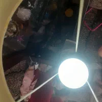 آباژور ایستاده|چراغ خواب و آباژور|کرمان, |دیوار