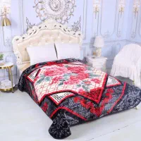 شارژ مجدد. پتو کره ای وینترکس|رختخواب، بالش، پتو|بندرعباس, |دیوار