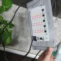 لامپ مخصوص رشد گیاه