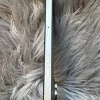 ایفون 15|موبایل|سنندج, |دیوار