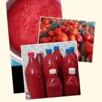 رب گوجه خونگی