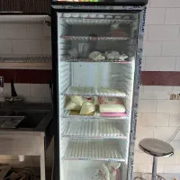 فریز ایستاده