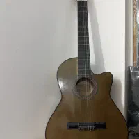 گیتار دیاموند