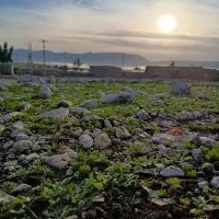 آلموتوربندم