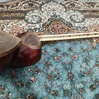 فروش تار خوش صدا|سازهای سنتی|شیراز, فرهنگ شهر|دیوار