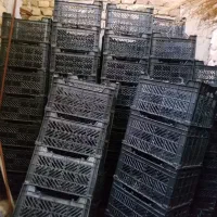 سبد