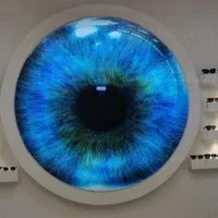 سقف های کاذب کشسان کهکشانی آسمان مجازی طرحدار جدید