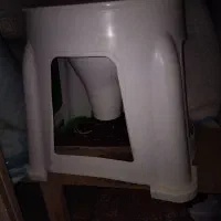 دستشویی فرنگی جنس پلی ارتان ضد حساسیت|لوازم سرویس بهداشتی|گلبهار, شهر جدید گلبهار|دیوار