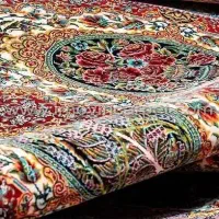 قالیشویی روژ ( درجه1 )