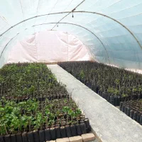 لوازم سالن گلخانه در حد نو ابعاد ۶*۱۲|فروش دفتر صنعتی، کشاورزی، تجاری|کاشمر, |دیوار