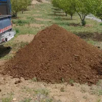 کود‌ حیوانی‌ پین گوسفند