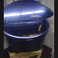 اکواریوم شرکتی