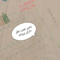 210متر دارای نقشه پروانه دانشگاه پارک جنگلی|فروش زمین و ملک کلنگی|ارومیه, |دیوار