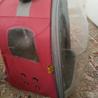 کیف حمل و نقل گربه|لوازم جانبی حیوانات|ری, حمزهآباد|دیوار