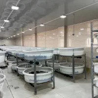 استخدام کارگر ساده خانم