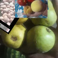 ۴۰نفر کارگر هستیم دنبال کارهستیم گوجه میوه لوبیا|خدمات باغبانی و درختکاری|تاکستان, |دیوار