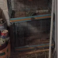 قفس پرنده ۳تا