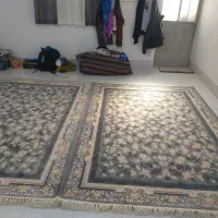 اجاره سوئیت ۴۵ متری زیر همکف