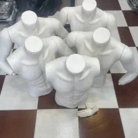 5عدد مانکن ترک رگال چرخ دار استفاده نشده