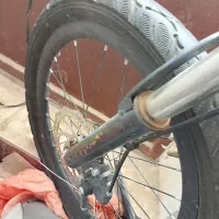 دوچرخه حرفه ای|دوچرخه، اسکیت، اسکوتر|ایرندگان, |دیوار