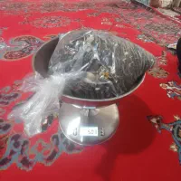 چای ناب و صدرصد طبیعی مراکشی