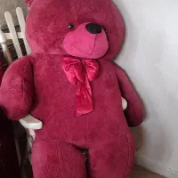 ولنتاین / خرس بزرگ