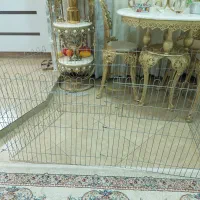 پارک سگ|لوازم جانبی حیوانات|تویسرکان, |دیوار