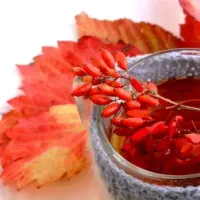 آب زرشک  طبیعی