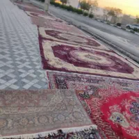 قالی دست دوم|فرش|فیروزآباد (فارس), |دیوار