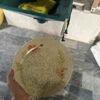 فروش برنج درجه یک طارم هاشمی از تولید کننده|عمده‌فروشی|بابل, |دیوار