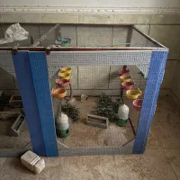 قفس بزرگ پرنده