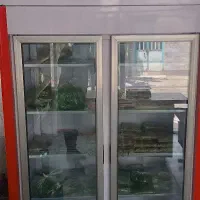 فریزر دودر