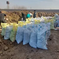 کود گوسفندی خالص کود باغ شهریار