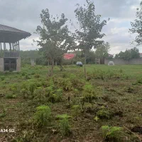 فروش خانه ویلایی ۱ هکتار ۳ خوابه در گلسار|فروش خانه و ویلا|رشت, گلسار|دیوار